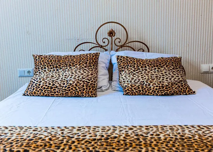 в оренду на копеника 12, біля палацу потоцьких